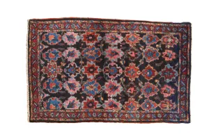 2.5x4.5 Vintage Bibikabad Rug
