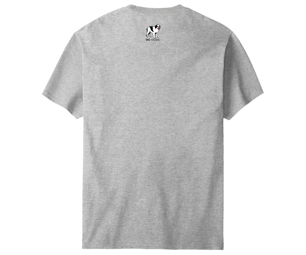 BDCF Michigan T-shirt