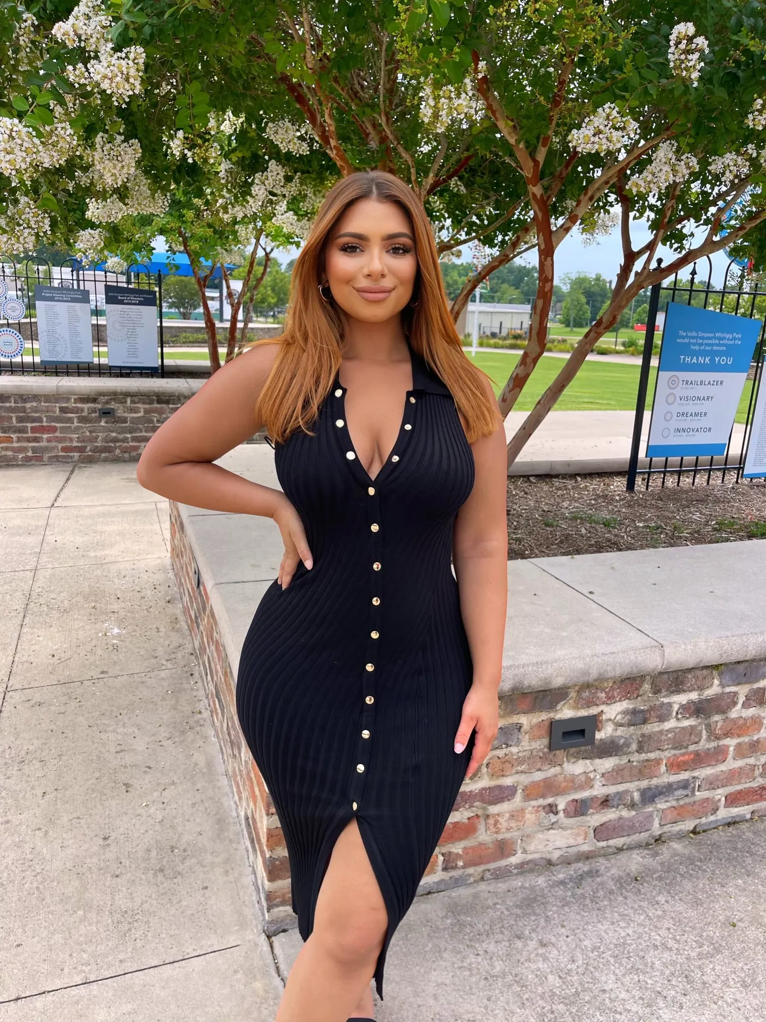 Bianca Button Down Midi Dress (More Colors)