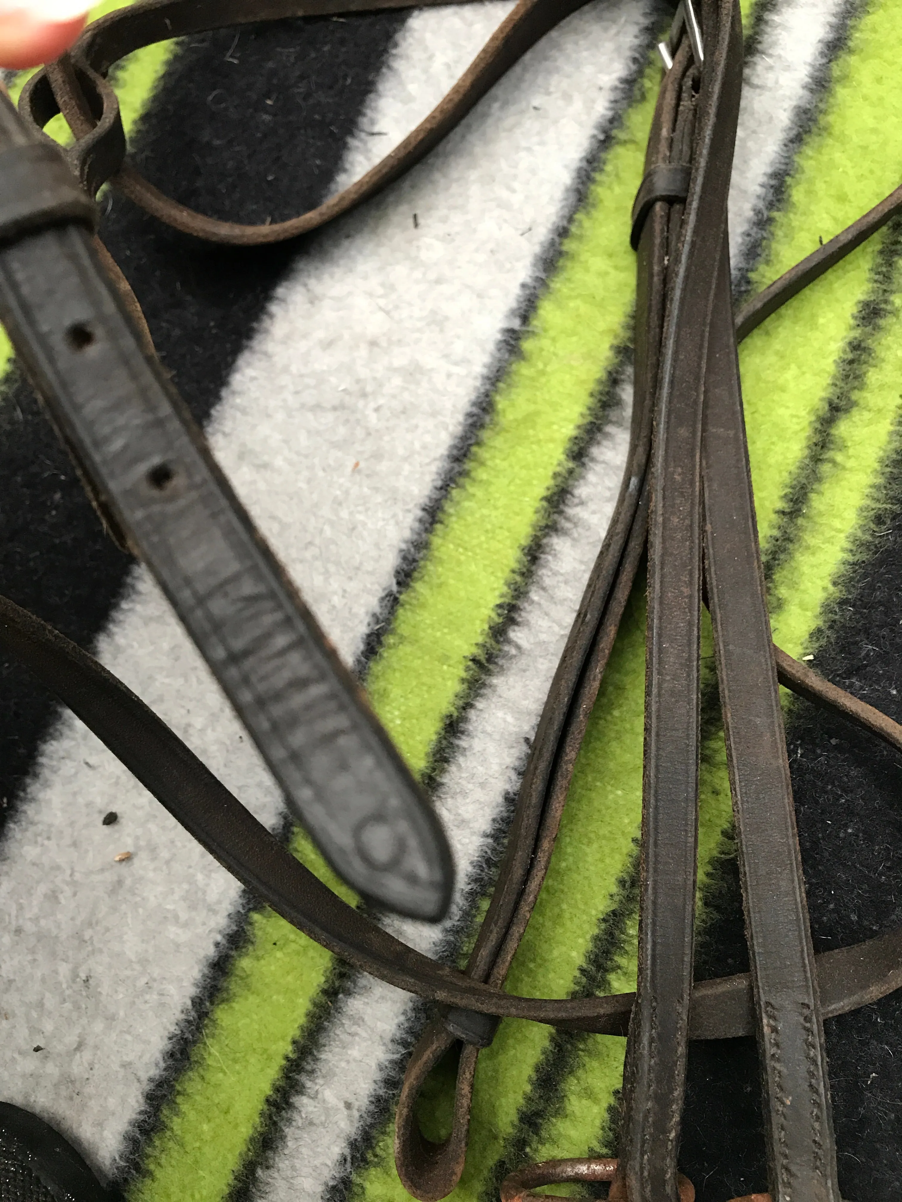 brown leather running martingale cob size FREE POSTAGE