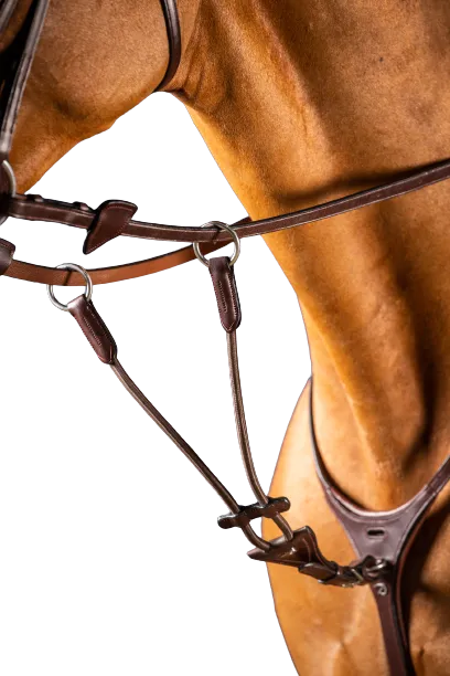 Dy'on New English Elastic Running Martingale Attachment NE07B