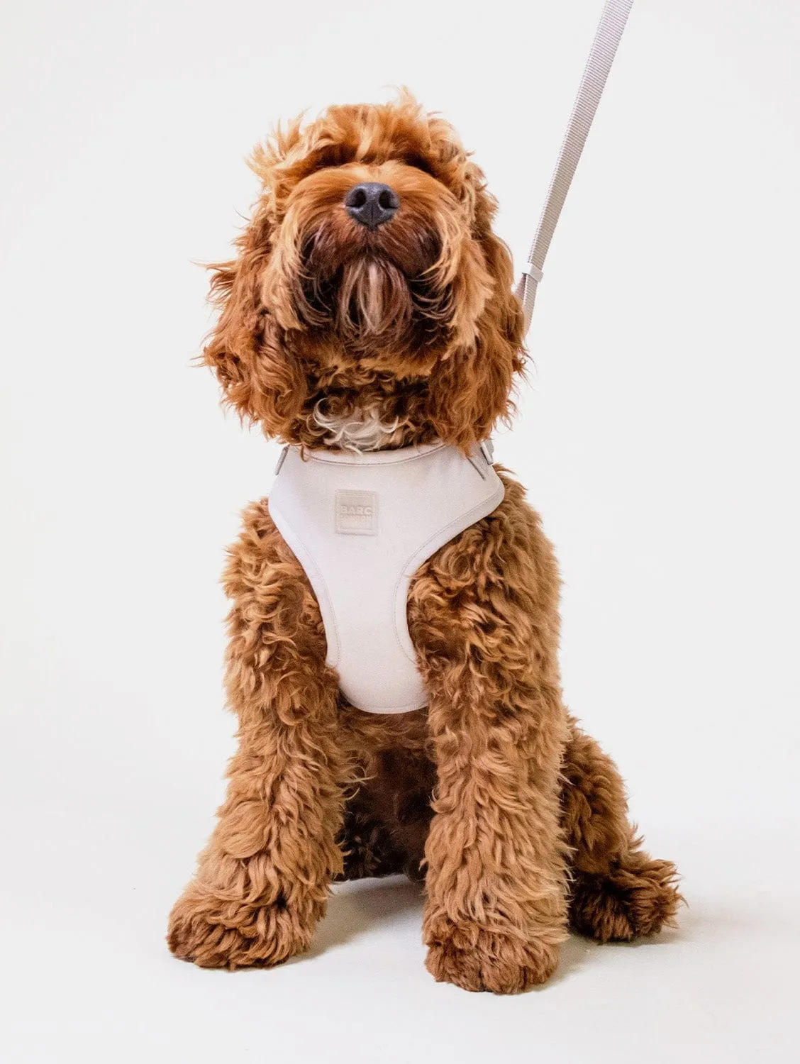 Easy Fit Nylon Fabric Cushioned Dog Harness | Vanilla Cream