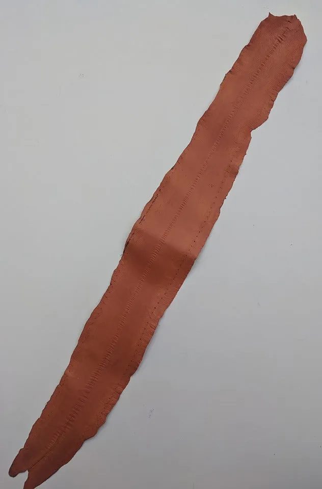 Eel Leather