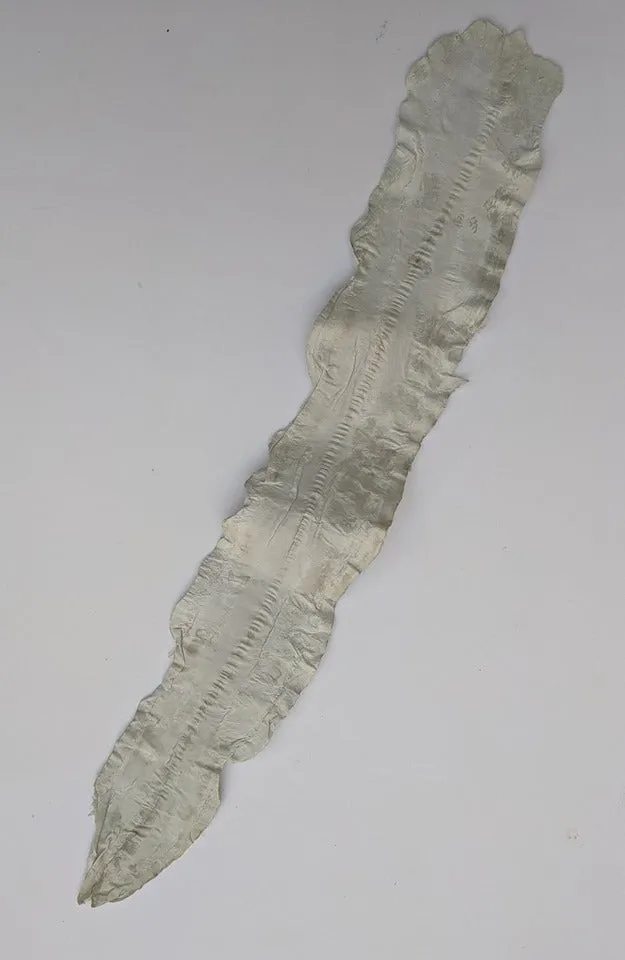 Eel Leather
