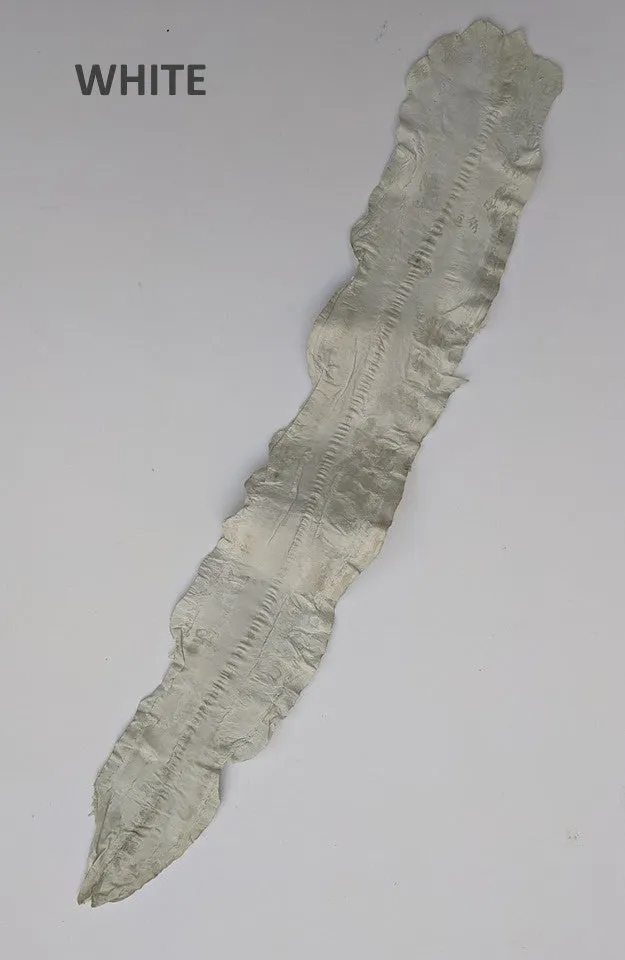Eel Leather