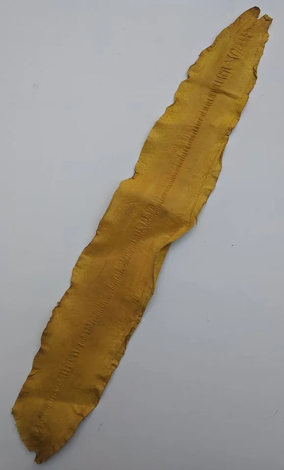 Eel Leather