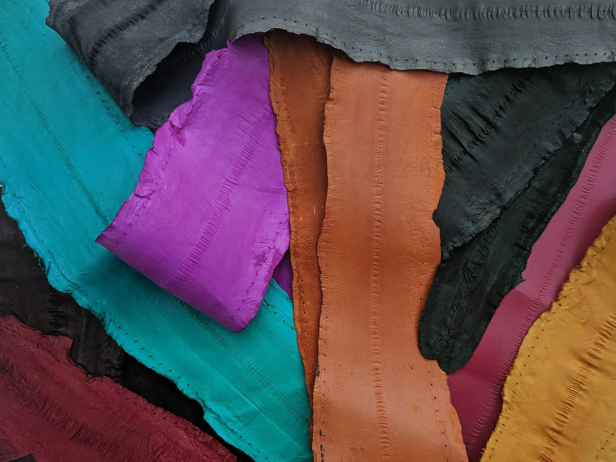 Eel Leather