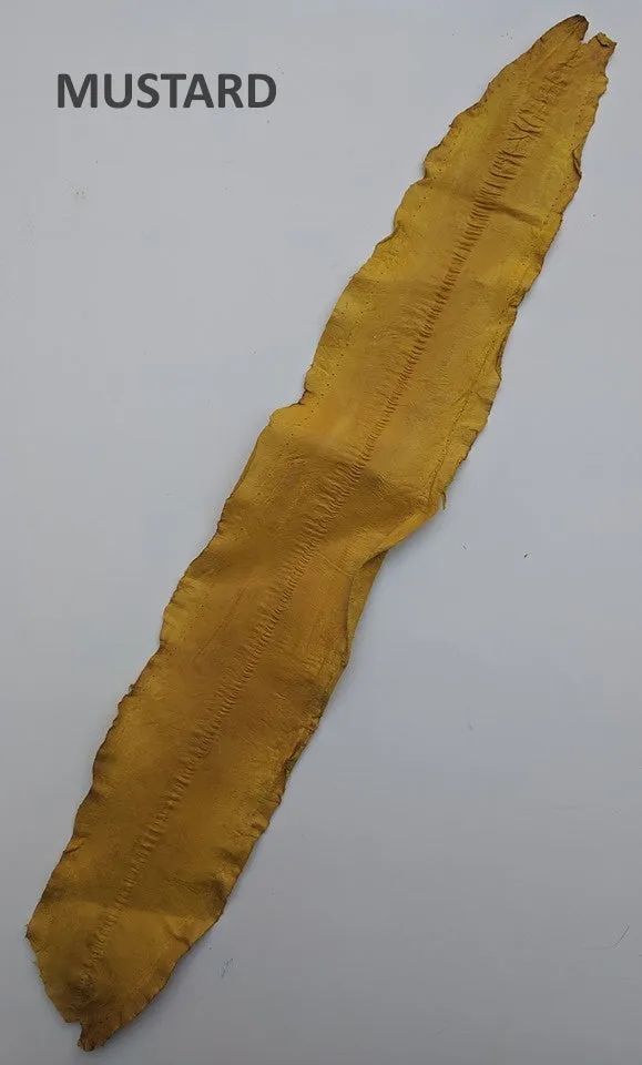 Eel Leather