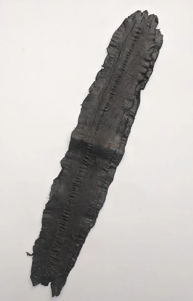 Eel Leather