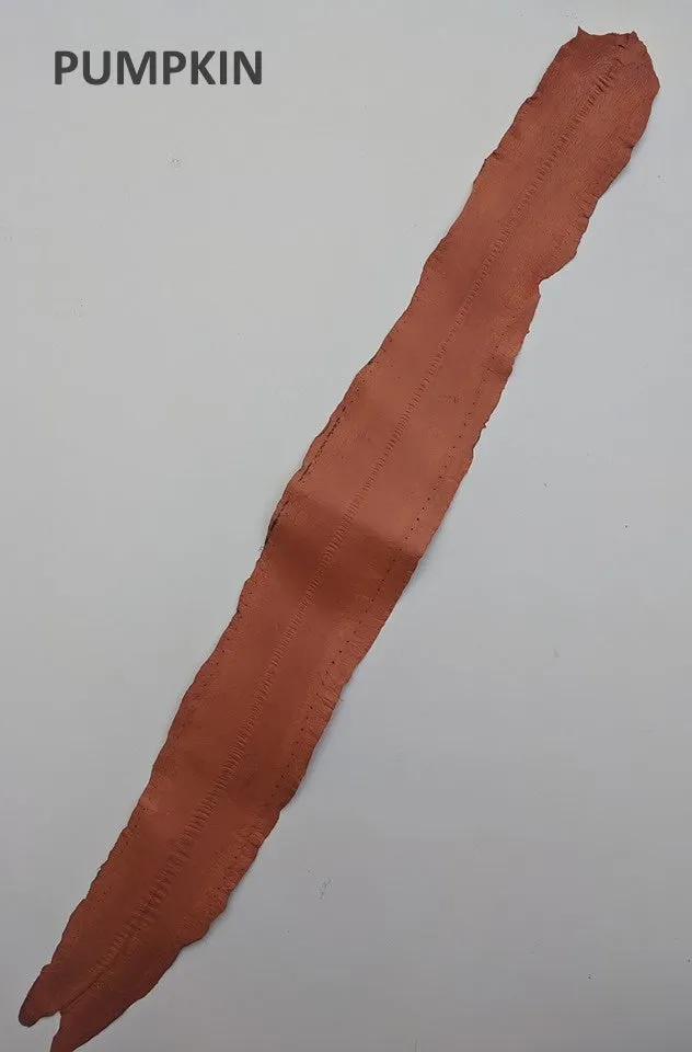 Eel Leather