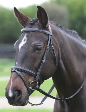Kincade Flash Bridle