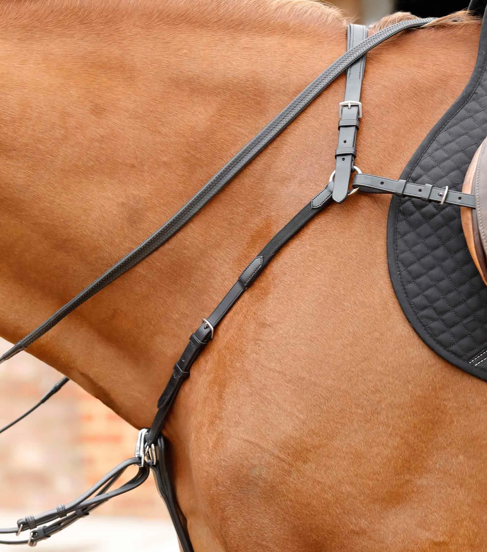 PEI Valbrona Performance Breastplate