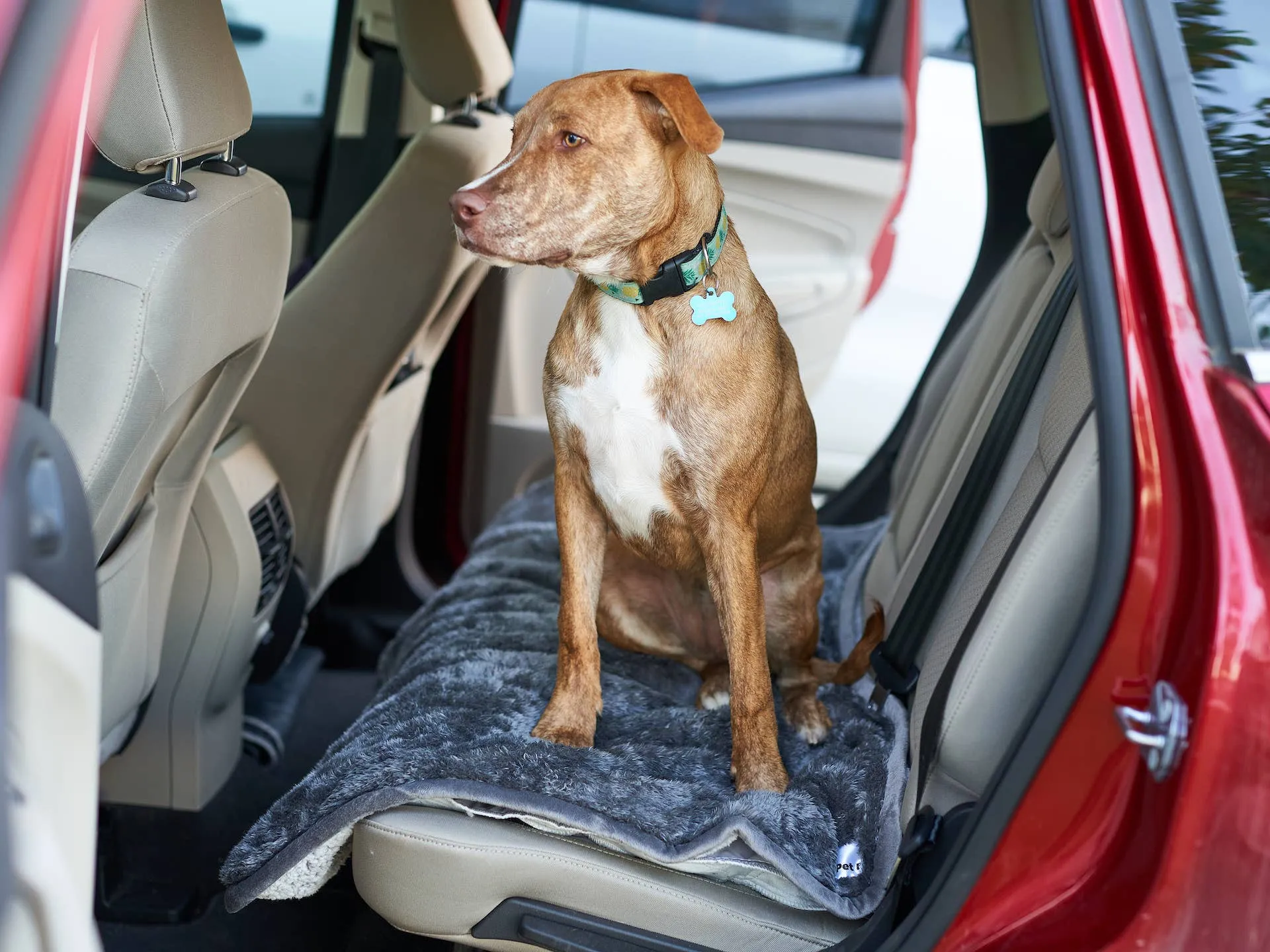 Pet Parents® - Pawtect® Blankets, Waterproof Pet Blankets