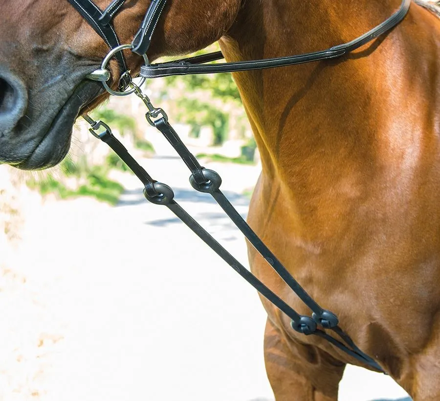 Shires Avignon Running Martingale