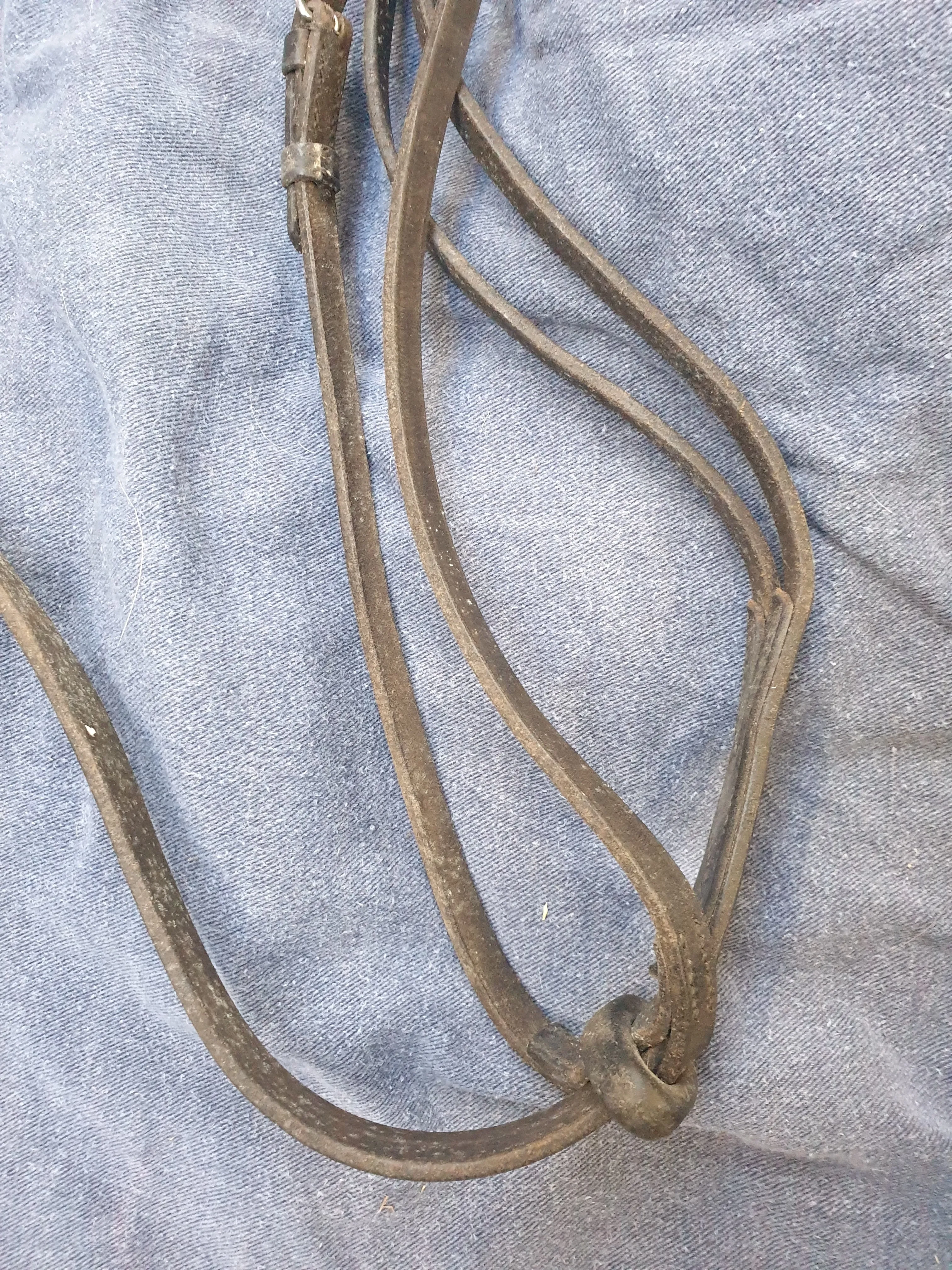 Used full size black leather running Martingale FREE POSTAGE☆