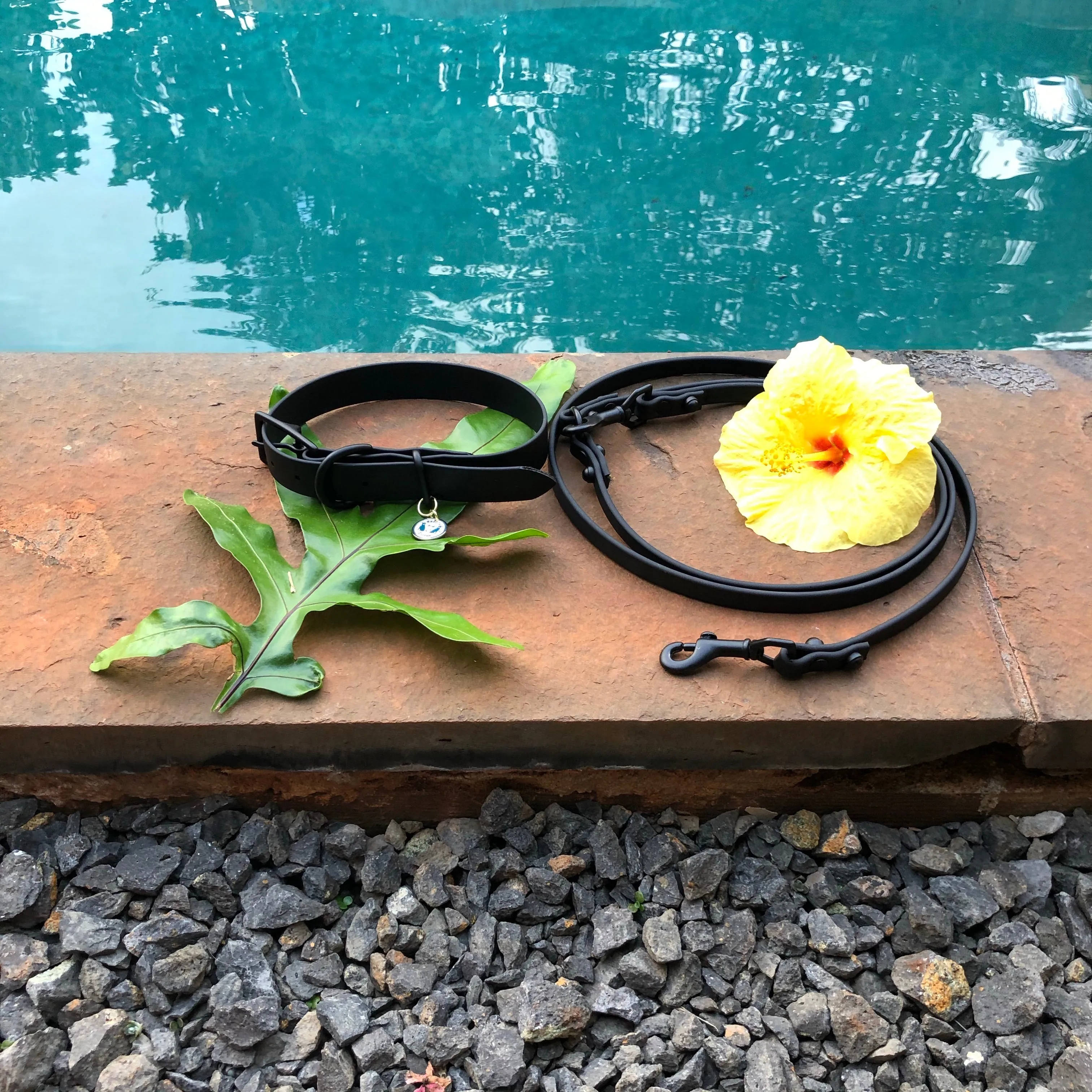 Waterproof Buckle Collar : IMI - Black   Black