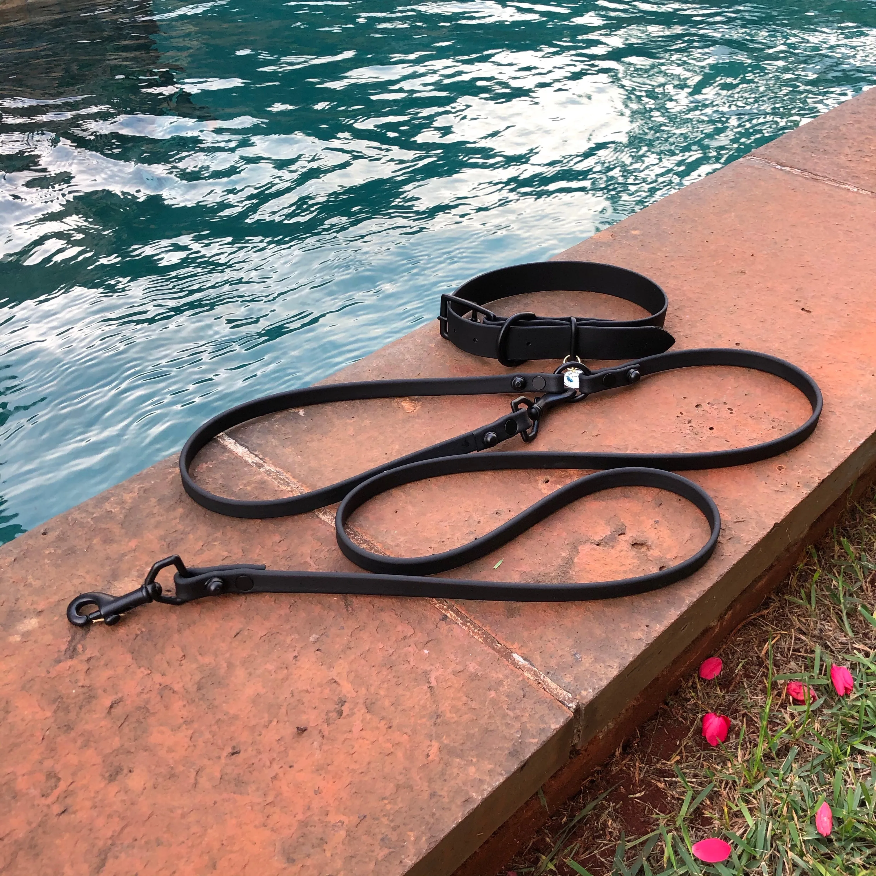 Waterproof Buckle Collar : IMI - Black   Black