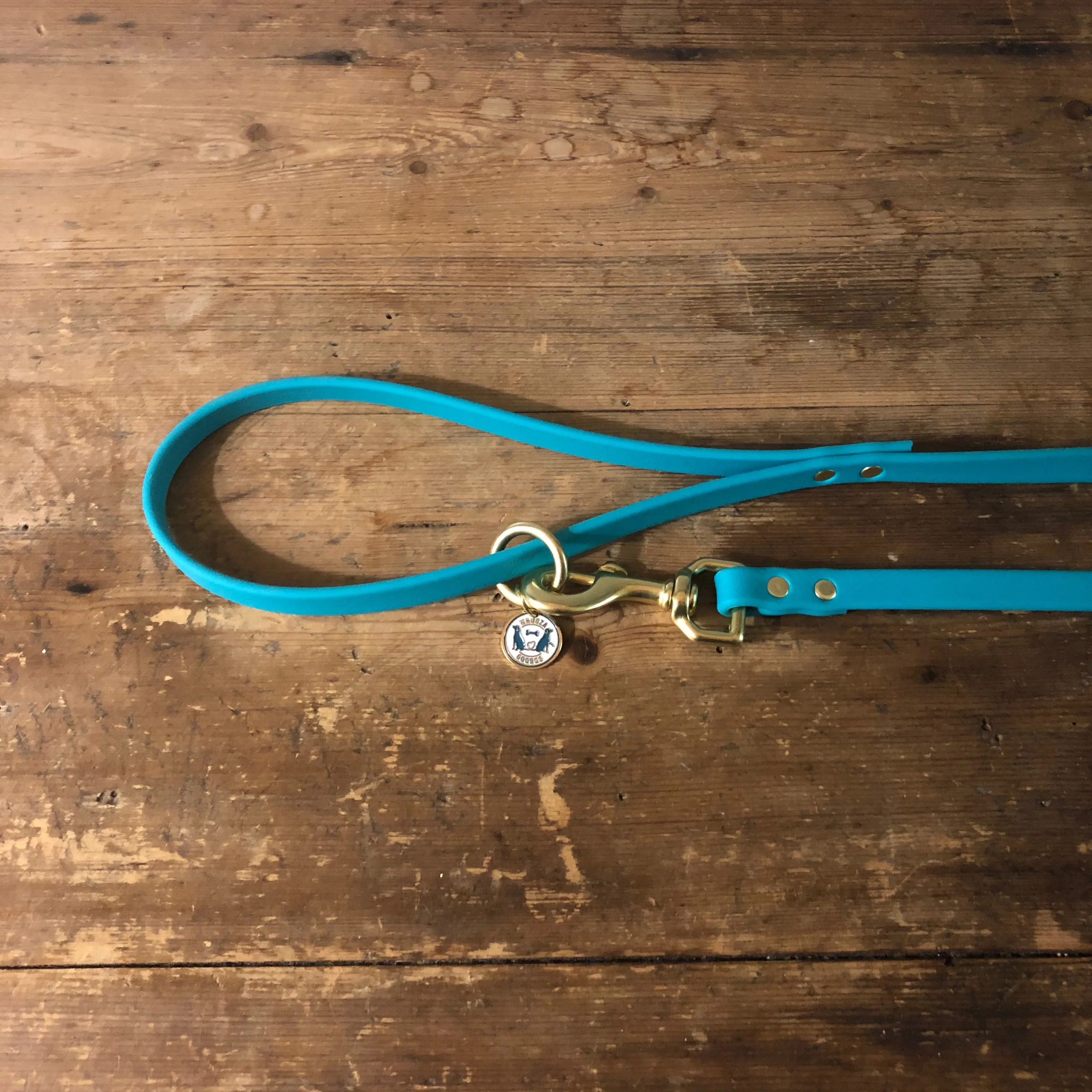 Waterproof Leash : Teal   Brass