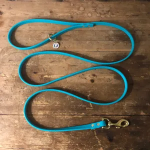 Waterproof Leash : Teal   Brass