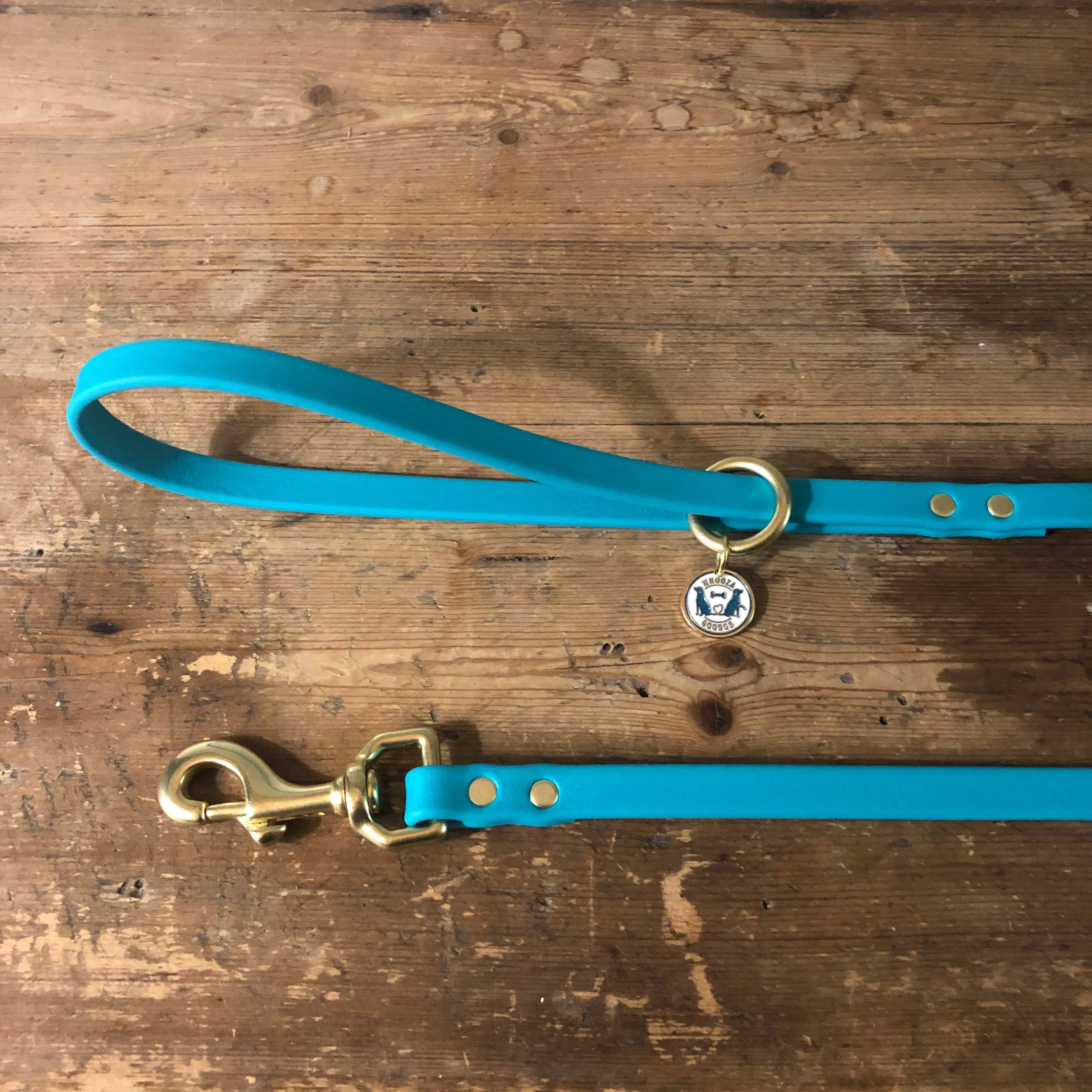Waterproof Leash : Teal   Brass