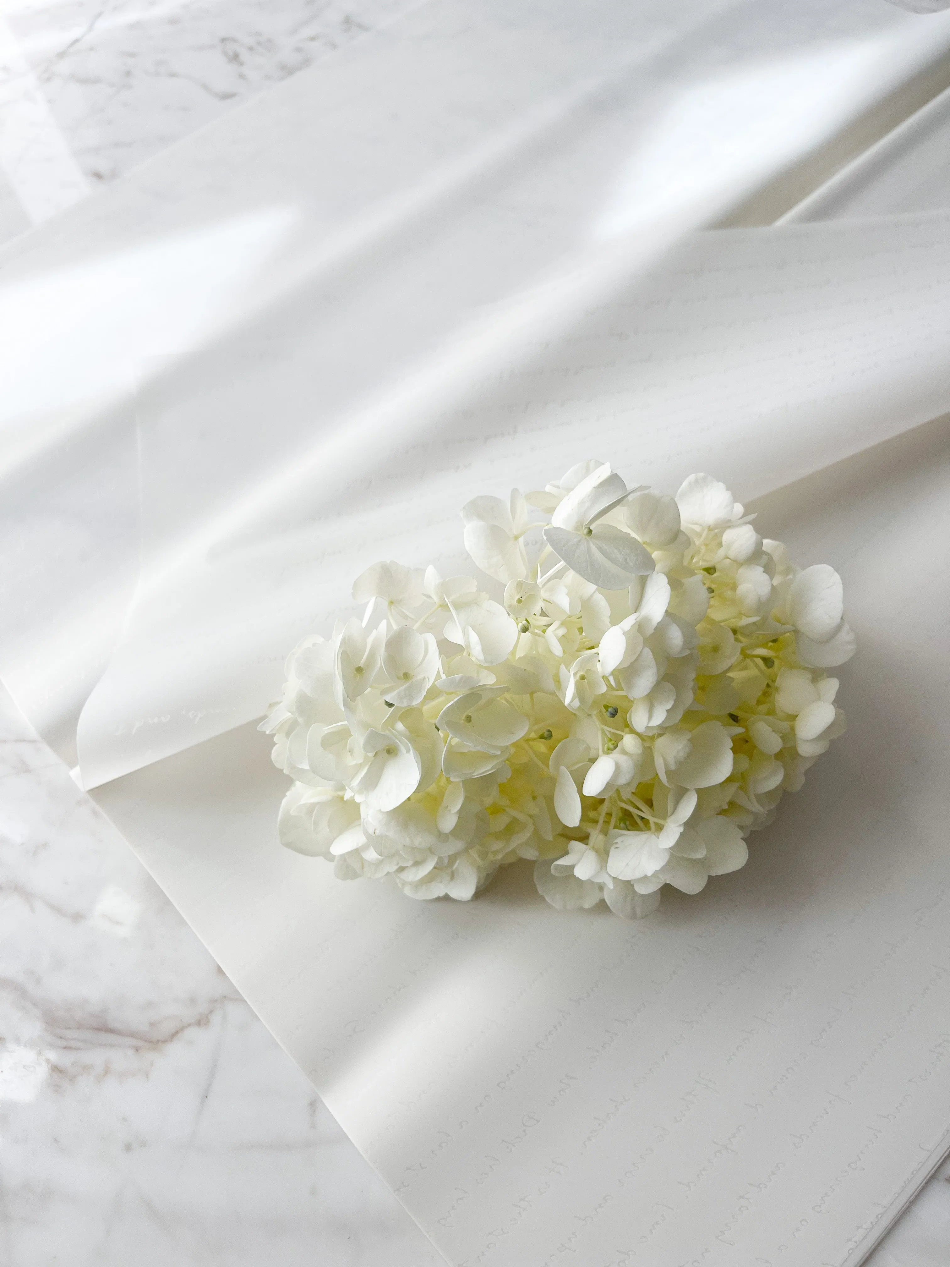 Waterproof Transparent Wrapping Paper With Letters