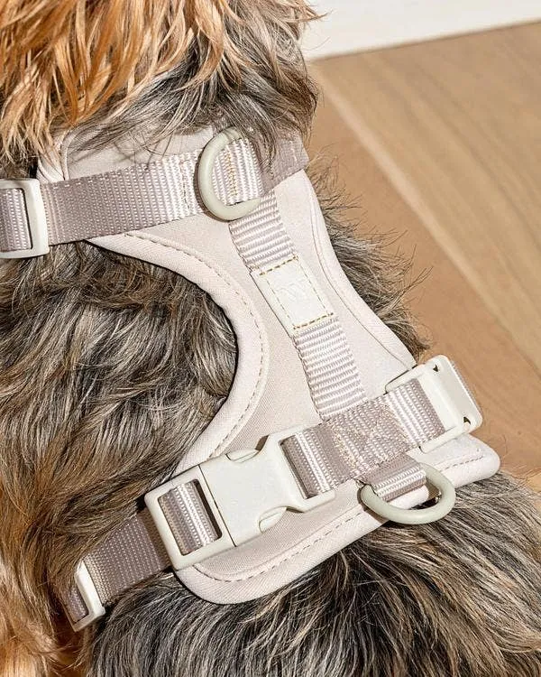 Wild One - Gray Harness