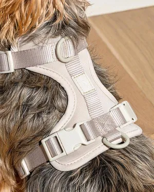 Wild One - Gray Harness